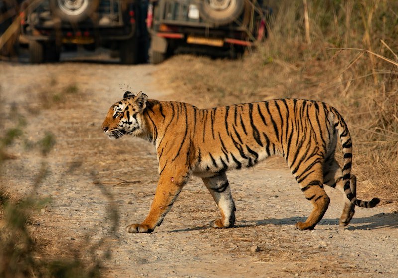 Pachmarhi with Satpura National Park Ex – Pipariya/Bhopal